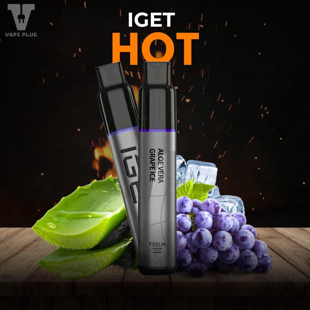 ALOE VERA GRAPE ICE – IGET HOT 5500