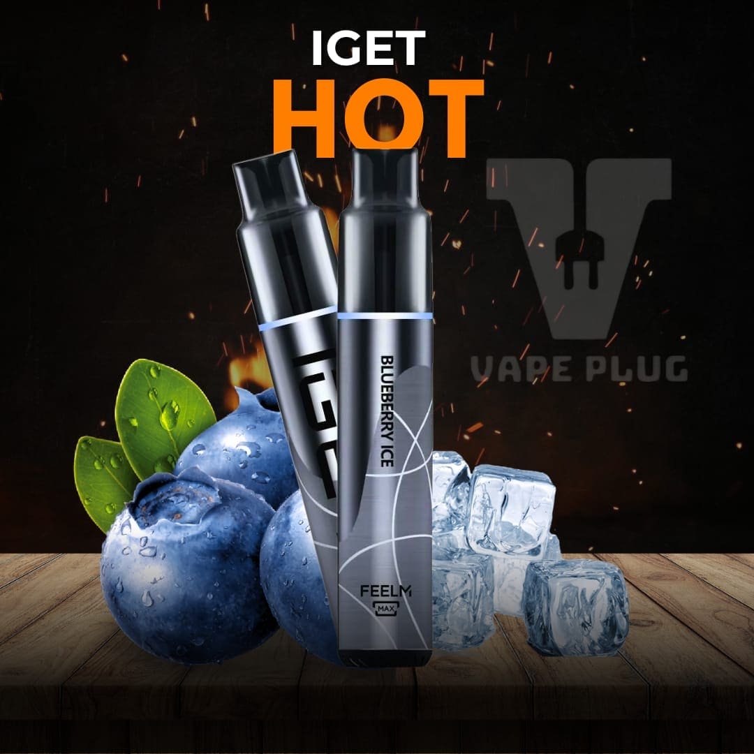 BLUEBERRY ICE – IGET HOT 5500